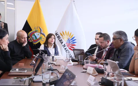El CAL direccionó la Ley Antimafias a la Comisión de Seguridad en donde ADN tiene mayoría.