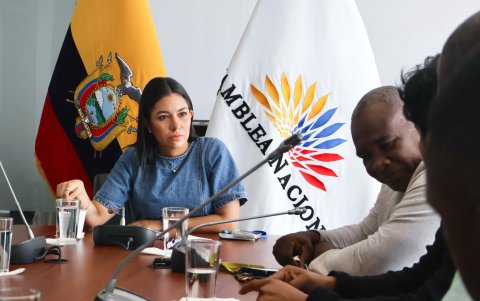 Karolina Dueñas, asambleísta y precandidata a la Prefectura de Esmeraldas por ADN, durante una sesión oficial en la Asamblea Nacional.