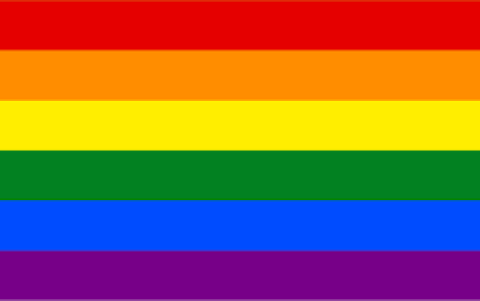 Rainbow flag de 1979, es la más difundida y usada. Solo tiene 6 colores.