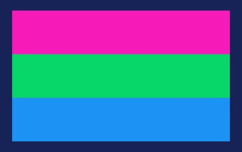 La bandera polisexual, difundida desde 2012, representa la atracción hacia varios géneros, aunque no necesariamente hacia todos.