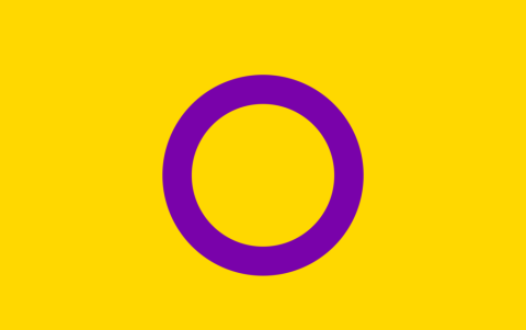 La bandera intersex fue diseñada en julio de 2013 por el bioeticista y activista de derechos humanos Morgan Carpenter, en nombre de Intersex Human Rights Australia