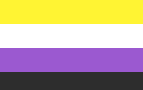 Bandera no binaria
