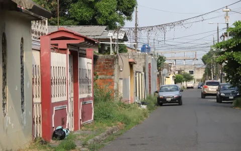 La vegetación creció tanto en una manzana de la ciudadela Pedro Menéndez Gilbert que terminó alcanzando los cables elevados.