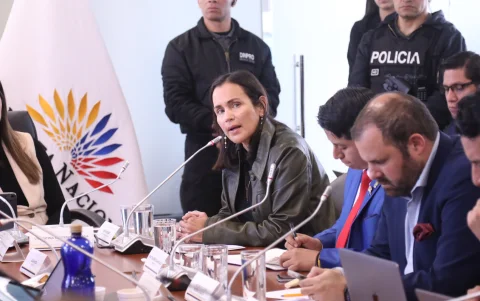 La exministra Inés Manzano, enfrenta un nuevo pedido de juicio político presentado por el correísmo.