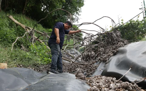 Bosques de la Costa. En la ciudadela de vía a la costa temen que los deslaves continúen y terminen afectando a las viviendas.