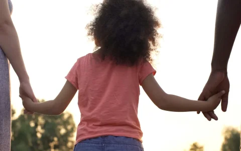 La reforma busca reducir los tiempos para que niñas, niños y adolescentes accedan a una familia.