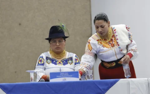 Esthela Acero fue designada nueva vicepresidenta del CNE.