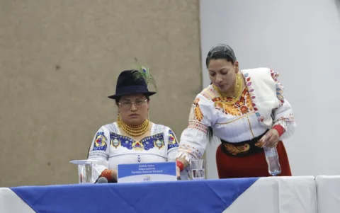 Esthela Acero fue designada como vicepresidenta del CNE este 11 de junio de 2026.