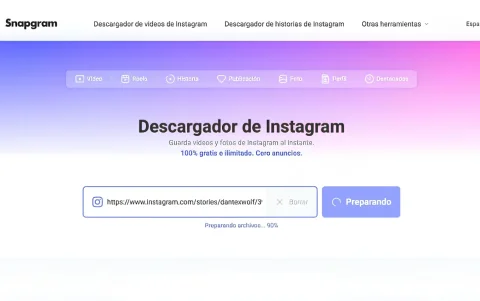 Segundo paso: pegar el enlace del contenido en el campo de búsqueda de la plataforma Snapgram.