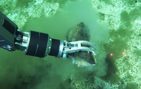 Recuperación de huesos fósiles de ballena mediante el brazo del sumergible chino Fendouzhe en las profundidades del lecho marino de la zona de Diamantina.