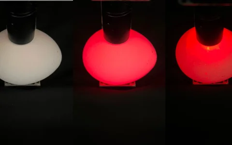La luz que atraviesa la cáscara de un huevo podría ayudar a identificar el sexo del embrión antes de que nazca, según una nueva investigación.