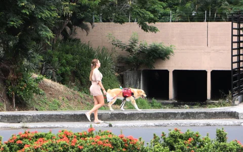 Residentes disfrutan salir con sus mascotas en paseos matinales.