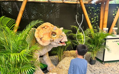 El Jardín Jurásico es una exposición temporal dentro del Jardín Botánico de Quito, en el parque La Carolina.
