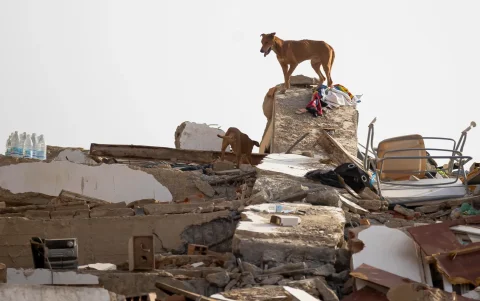 Detalle de un edificio derruido en Catia la Mar, Venezuela, mientras continúa la búsqueda entre los escombros de los edificios, este viernes.