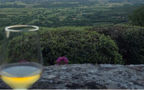 El vino es una de las principales atracciones de la Toscana.