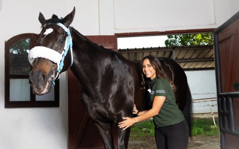 Como veterinaria del hipódromo, tiene a su cargo el cuidado y bienestar de aproximadamente 270 caballos.