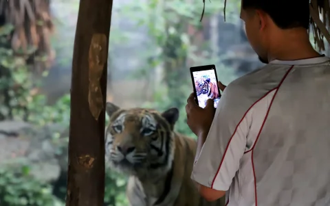 Especies de otros continentes también se aprecian en el zoológico, gracias a sus alianzas y su misión de educar sobre los animales.