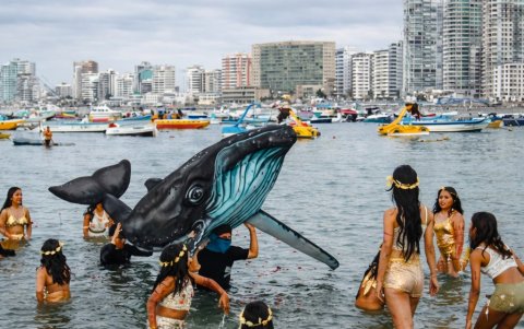 En Salinas empezó la temporada de avistamiento de ballenas jorobadas que va de julio a septiembre
