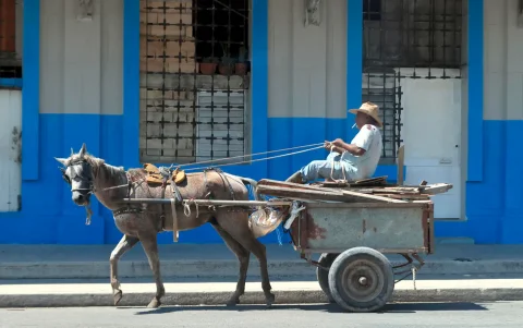 Una persona se transporta en un coche halado por un caballo este jueves en La Habana (Cuba).