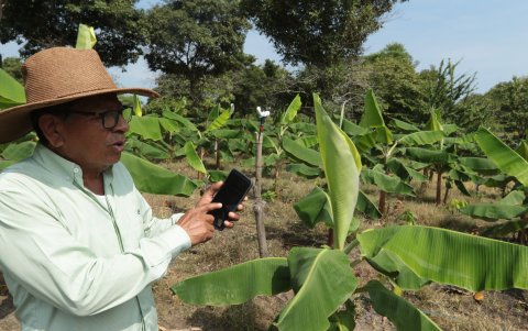 Erazo muestra TRACES, el sistema donde la UE recopila los datos para la verficación de la información de cada finca.