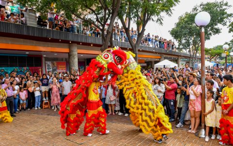 La cultura china se expuso con mucho folclor y algarabía de los presentes.