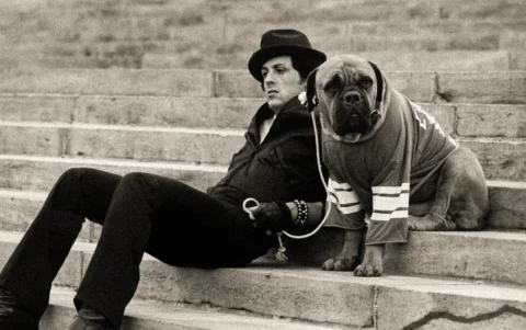 Sylvester Stallone rechazó vender el libreto de Rocky porque quería interpretar él mismo al boxeador.