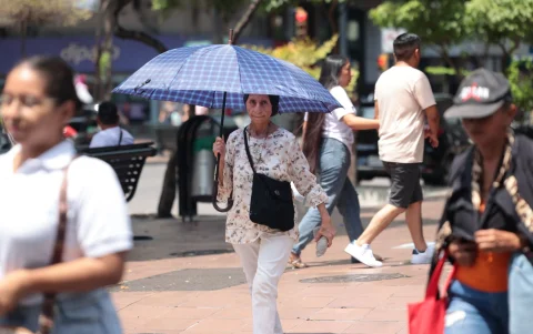 Utilizar paraguas y otros elementos para reducir el impacto de la luz solar están entre las recomendaciones.