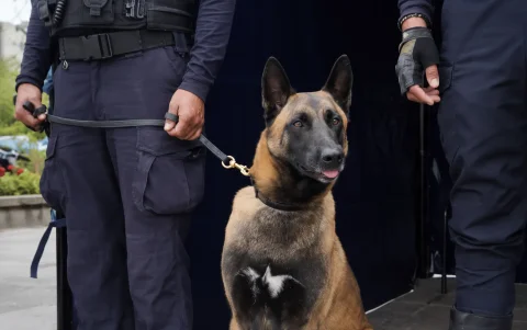 El can Luna halló sustancias sujetas a fiscalización listas para consumo durante un operativo preventivo en el parque La Carolina