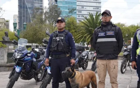 El can Luna halló sustancias sujetas a fiscalización listas para consumo durante un operativo preventivo realizado en el parque La Carolina, Quito.