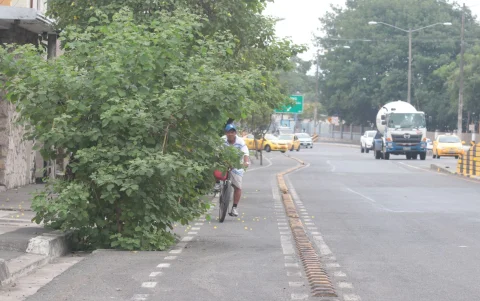 Ante la falta de mantenimiento, la vegetación reduce el espacio en la ciclovía de la avenida Barcelona, frente al Malecón del estero Salado.