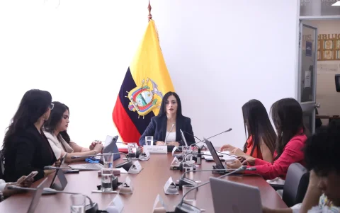 La Comisión de la Niñez está presidida por la asambleísta del correísmo Viviana Veloz..