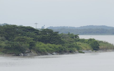 Sedimentación en el islote El Palmar frente a Guayaquil