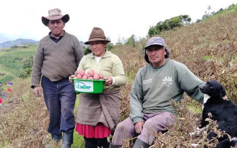 Ramiro Angamarca (sentado, derecha), agricultor de Ingapirca, durante una de las jornadas de capacitación de INIAP.