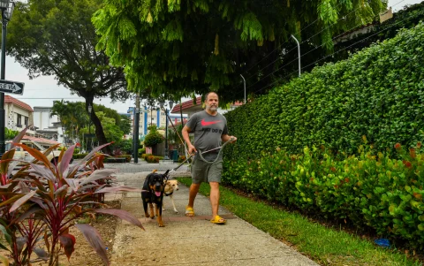 Los residentes del Barrio Centenario aprovechan sus espacios caminables para pasear con sus mascotas.