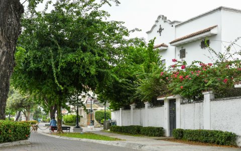 Grandes villas patrimoniales y jardines frondosos persisten como los principales atractivos visuales de la zona sur.
