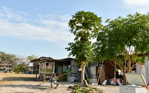 Las viviendas de construcción mixta en Playa Punta Diamante reflejan las carencias de un balneario sin servicios básicos.