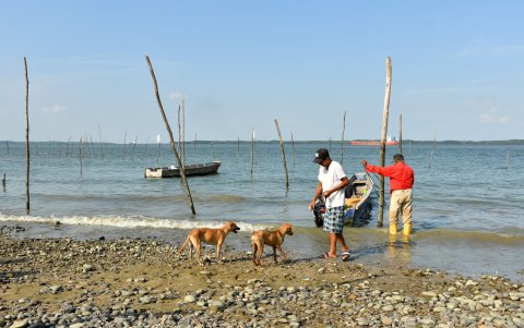 Pese a su riqueza natural, Playa Punta Diamante requiere inversión urgente en infraestructura vial y conectividad.