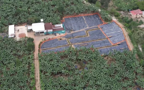 Afectación. Vista aérea de la finca La Carolina, donde a finales de 2025 se confirmó el primer caso.