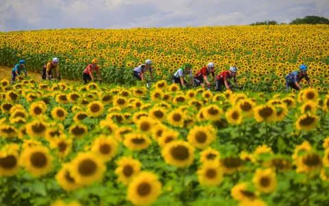 Así se corría la etapa 13 del Tour de Francia 2026, con meta en Belfort.
