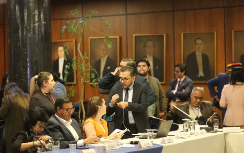Tres asambleístas del correísmo impulsan el juicio político en contra de la exministra de Energía, Inés Manzano.