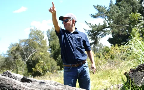 Juan Carlos Robles contó que el tronco de ese árbol cayó a unos metros del bosquete. Los más jóvenes de la familia lo acercaron, es parte del lugar.