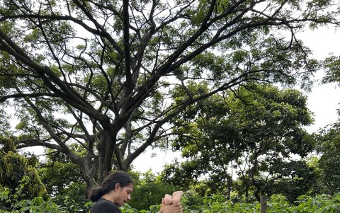 Meditación. Este espacio lleno de naturaleza es utilizado por los visitantes para realizar yoga.