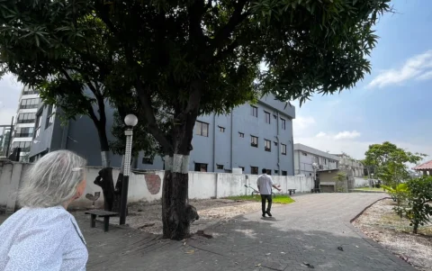 En los árboles que aún se mantienen, han colocado láminas metálicas, presumiblemente para evitar que la fauna urbana suba.