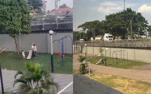 Parque Nathalia, antes y después de la poda.