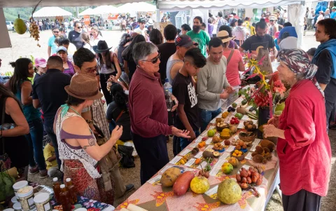 Desde las 10:00 se desarrollará la Feria del Chocó Andino, dedicada a la agroecología.