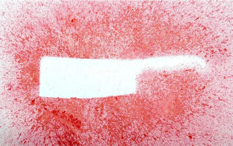 'Cuchillo', imagen que tiene 60 x 90 cm. Todas las fotos de la muestra fueron producidas entre 2009 y 2011.