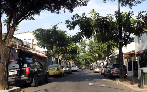 Los árboles forman un corredor verde en la calle Luis Vernaza, del barrio Orellana, entre el centro y norte de Guayaquil.