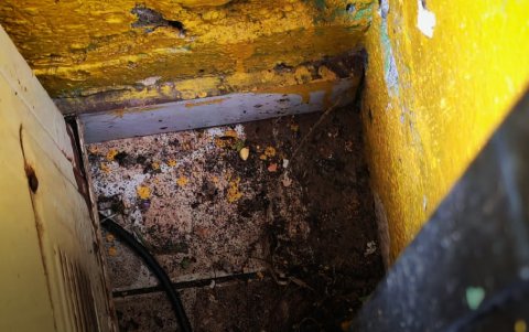El establecimiento de fritada fue clausurado por Arcsa luego de evidenciar plagas, contaminación cruzada y condiciones insalubres en la preparación de alimentos.