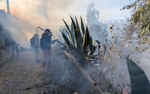 Bomberos de Quito controlaron el incendio forestal en Itulcachi tras varias horas de trabajo para evitar su propagación hacia zonas pobladas.