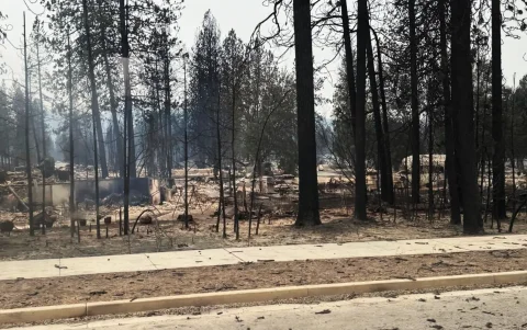 Las autoridades de Spokane monitorean las zonas afectadas tras evacuar a más de 65.000 residentes.
